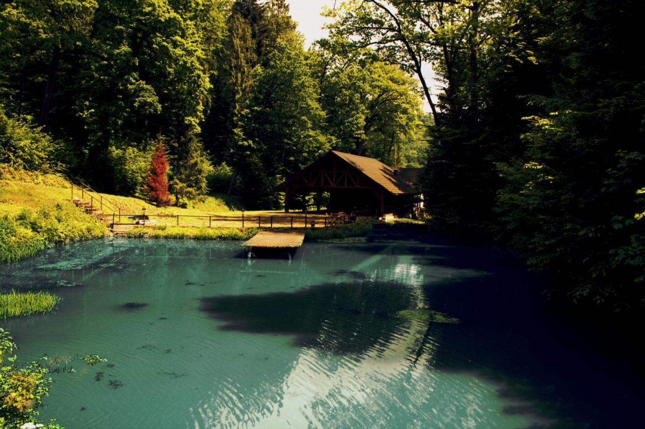 Hotel Salamandra Hoczew ภายนอก รูปภาพ
